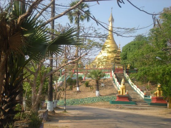 Viewpoint_pagoda